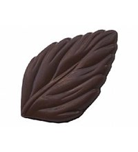 Φύλλο Υγείας