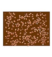 Πλακα αμυγδάλου στέβια γάλακτος 2 κιλών