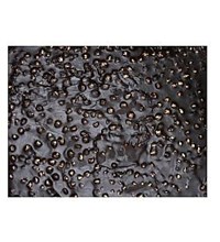 Πλακα με φουντούκι υγείας 2 κιλών