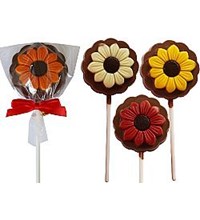 Χρωματίστες Μαργαρίτες 35 γρ.